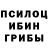 Галлюциногенные грибы Cubensis Mladen