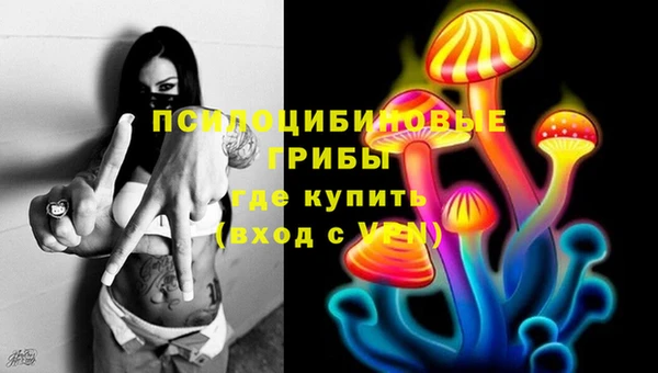 шишки Заволжье