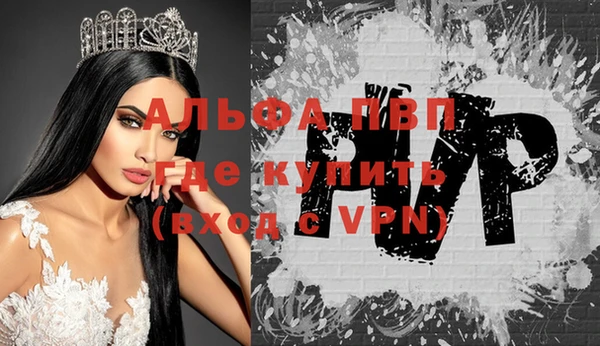 гидра Заводоуковск