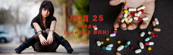 гидра Заводоуковск