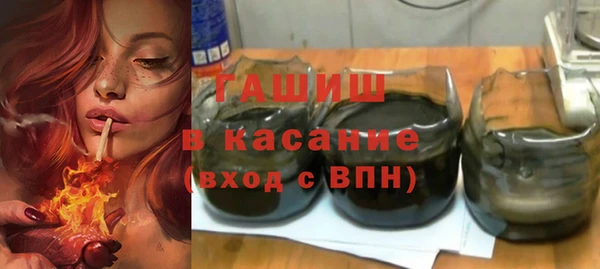 шишки Заволжье