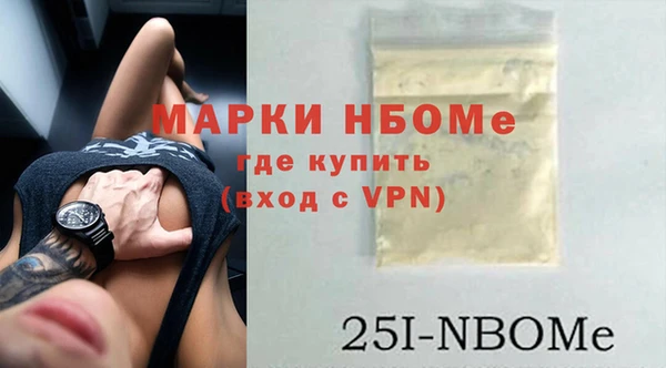 шишки Заволжье