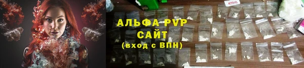 шишки Заволжье