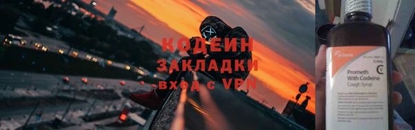 гидра Заводоуковск