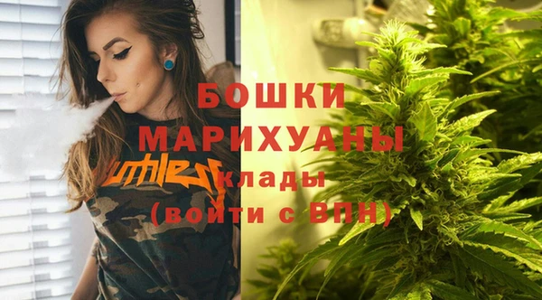 гидра Заводоуковск