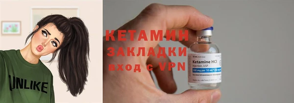 шишки Заволжье