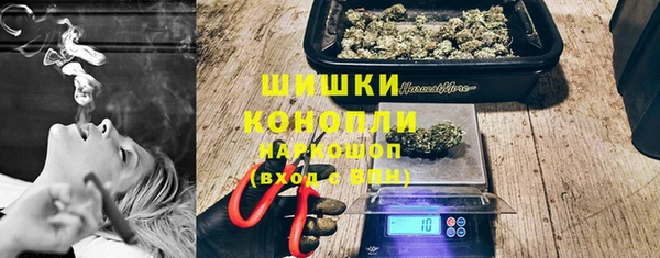 шишки Заволжье