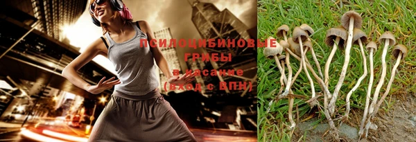 шишки Заволжье