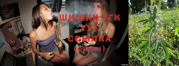 шишки Заволжье