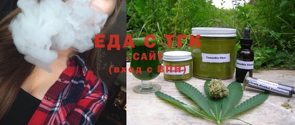 гидра Заводоуковск