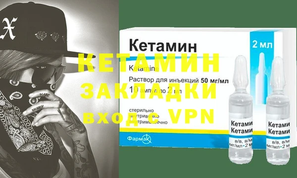 шишки Заволжье