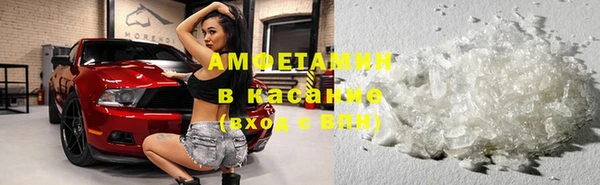 шишки Заволжье