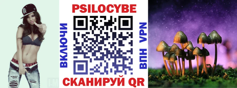 Псилоцибиновые грибы прущие грибы  Купить где  Жиздра 